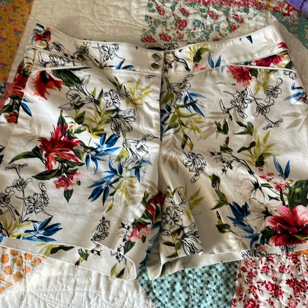 White House black market short size 10